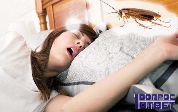 Девушка спит и видит сон о таракане