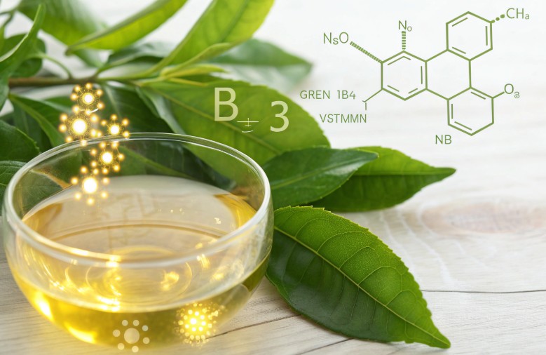 Зелёный чай и B3 против Альцгеймера