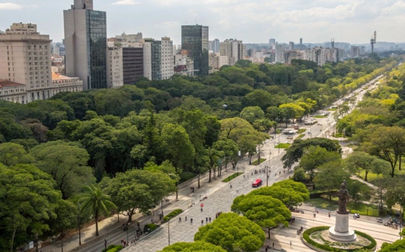 Доза городской зелени для здоровья