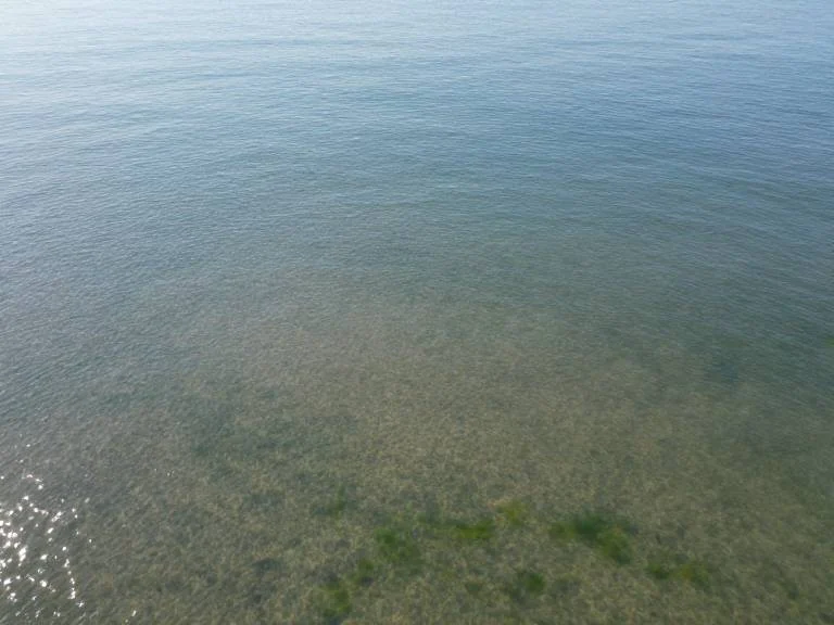 Что скрывалось под водой во время жары в Северном море?